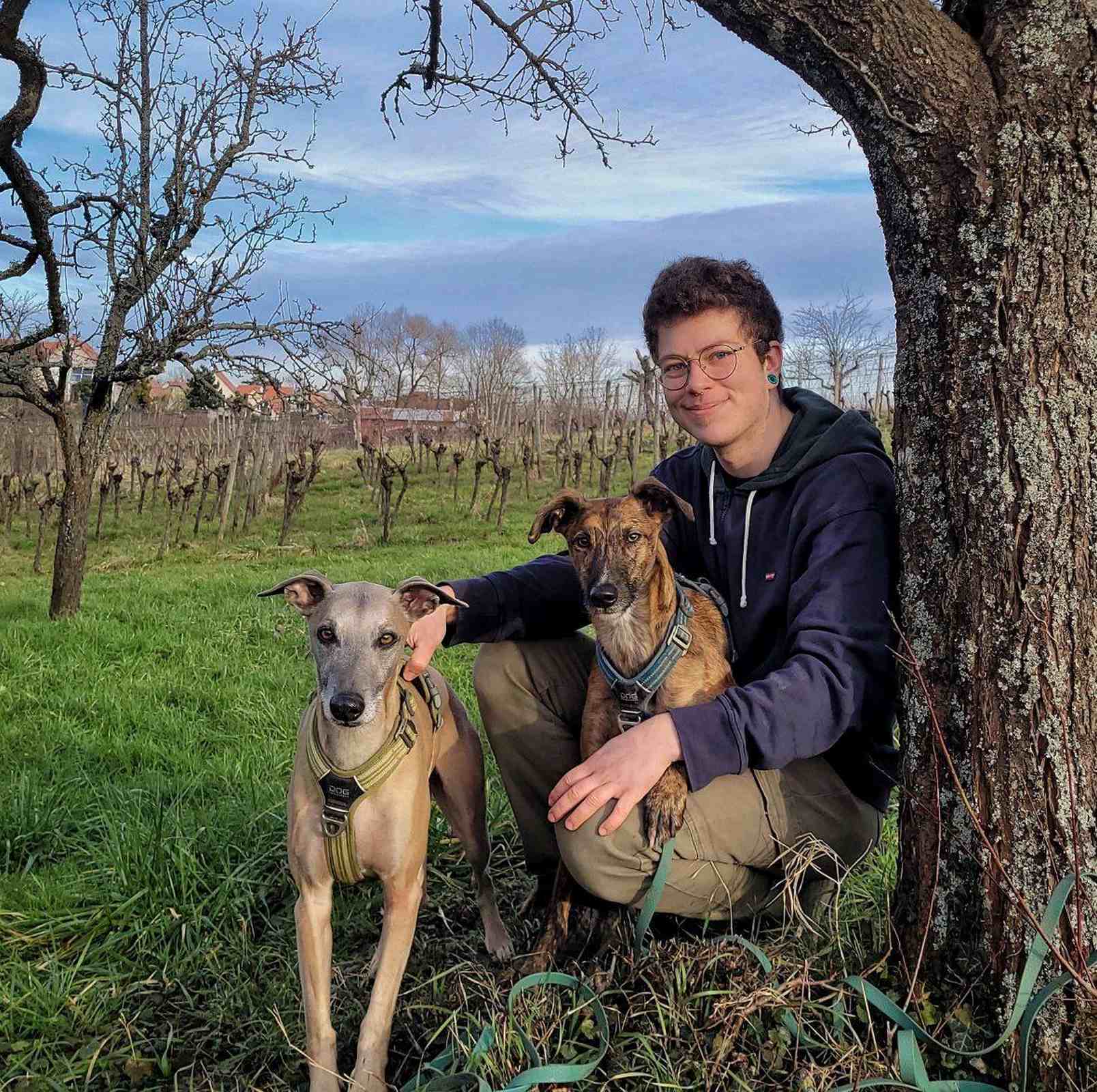 Éducateur canin à Luvigny