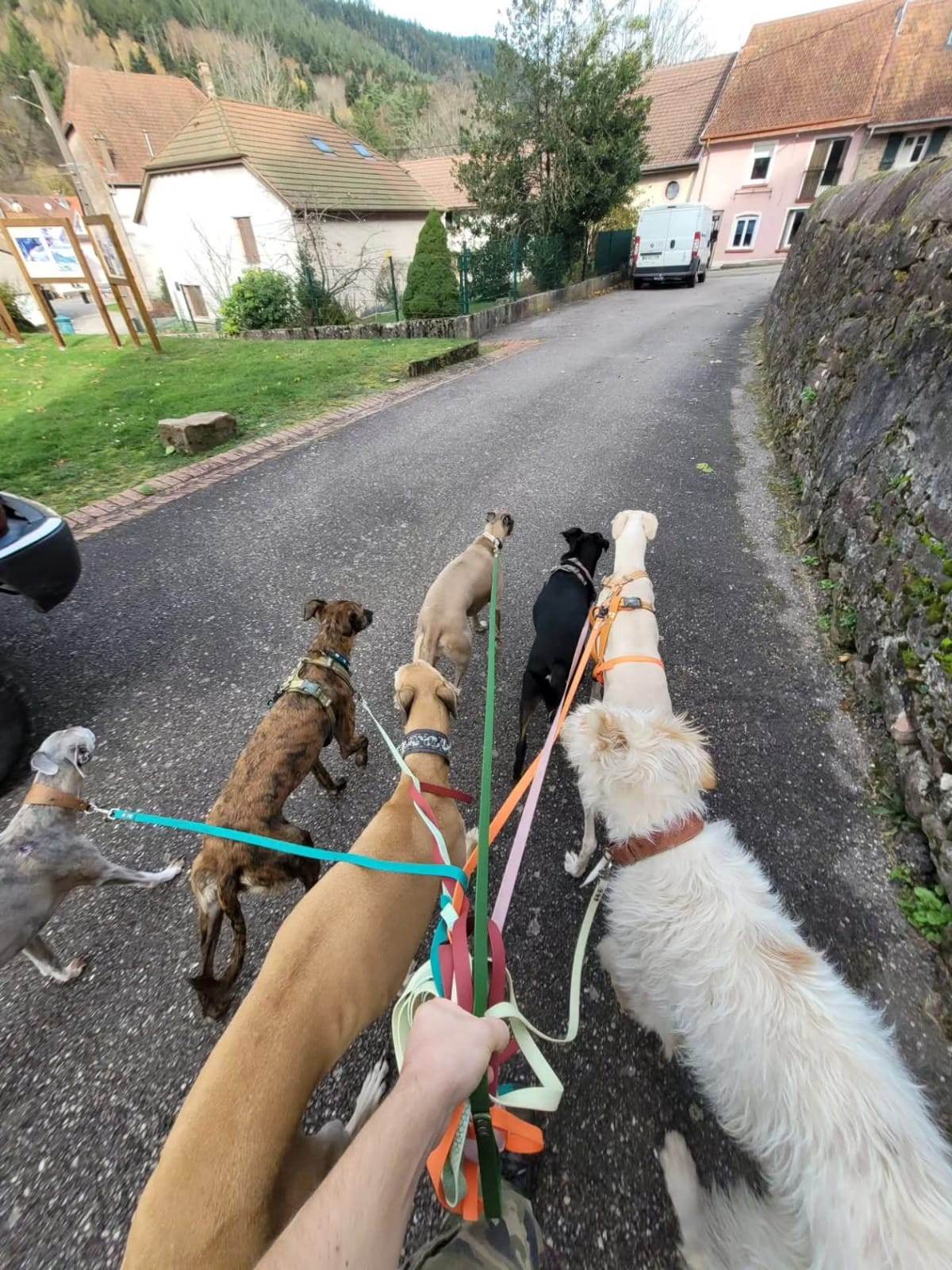 Visites à domicile à Luvigny et Raon-l’Étape